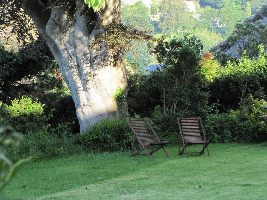 Bed and Breakfast Tregarth House à St Austell Extérieur photo